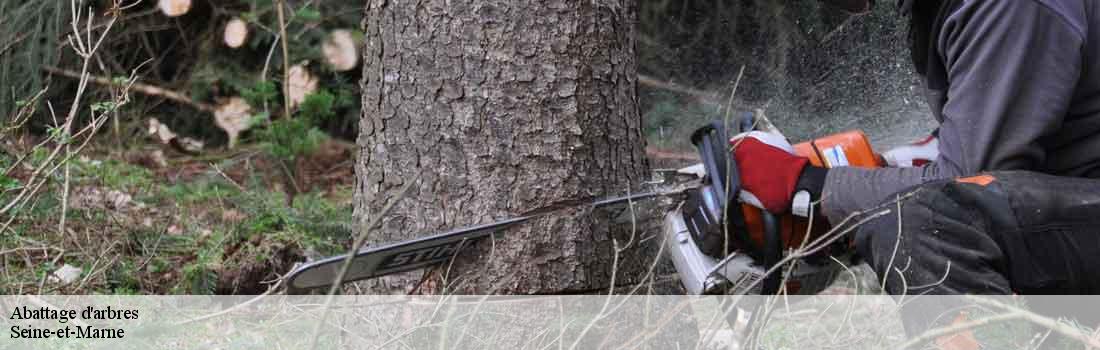 abattage-d-arbres Seine-et-Marne 