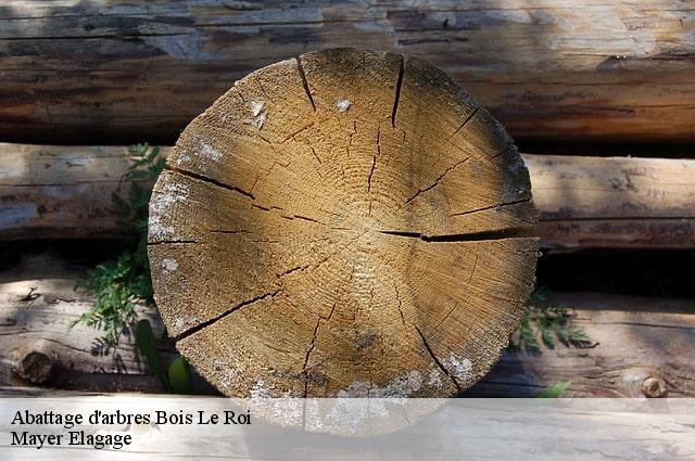 Abattage d'arbres  bois-le-roi-77590 Mayer Elagage