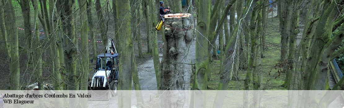 abattage-d-arbres 77840