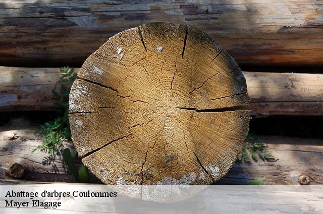 Abattage d'arbres  coulommes-77580 Mayer Elagage