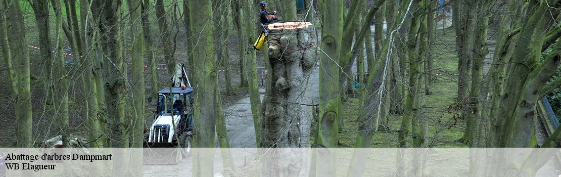 abattage-d-arbres 77400