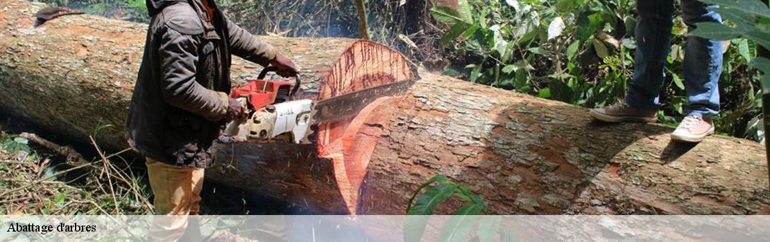 abattage-d-arbres 77400