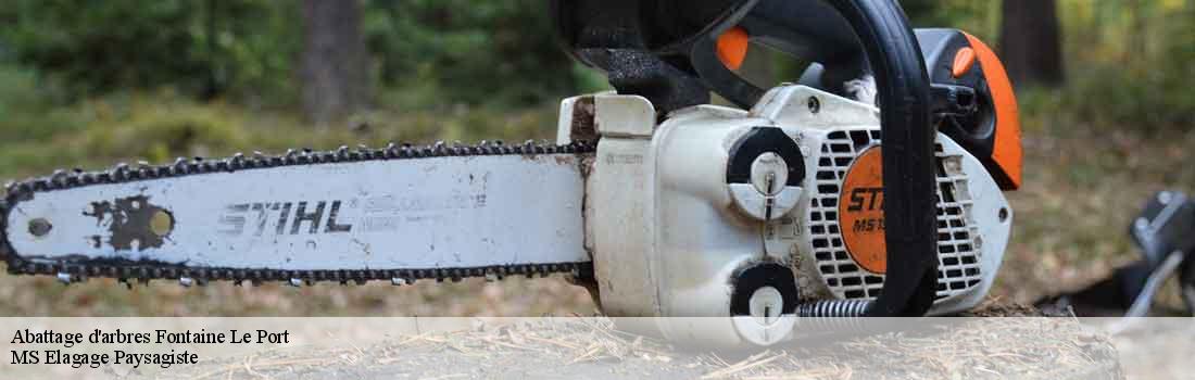 abattage-d-arbres 77590