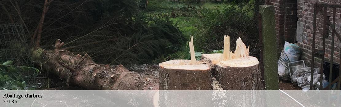 abattage-d-arbres  77185