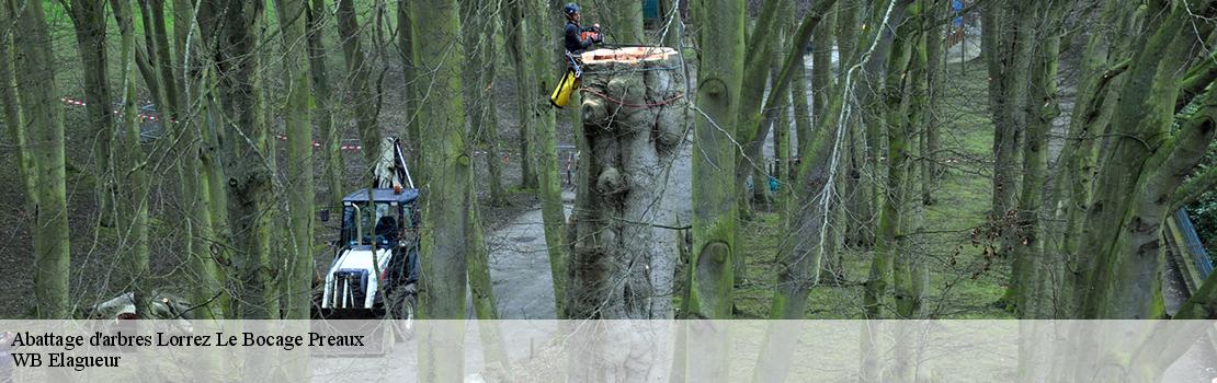 abattage-d-arbres 77710