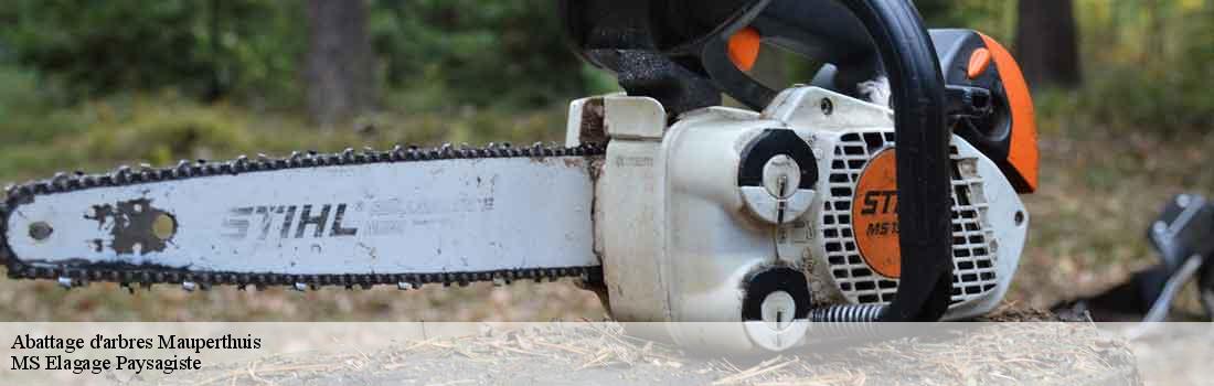 abattage-d-arbres  77120