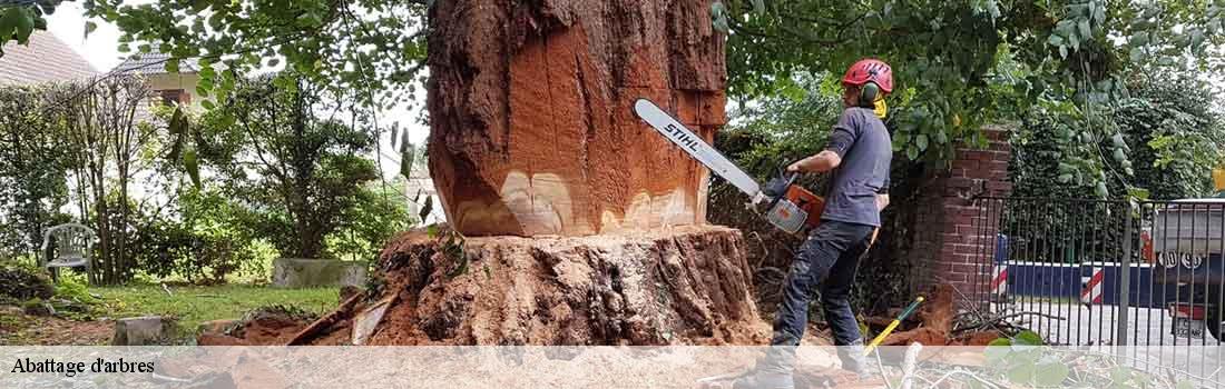 abattage-d-arbres  77540