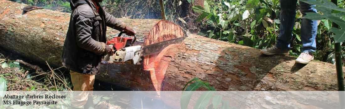 abattage-d-arbres  77760