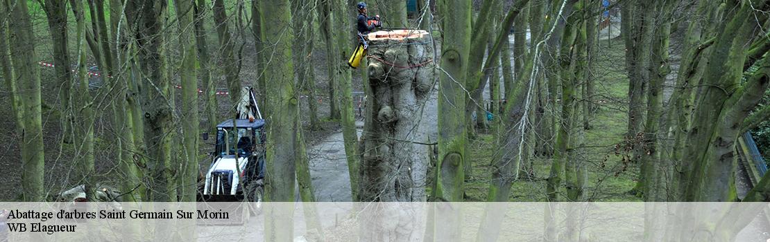 abattage-d-arbres  77860