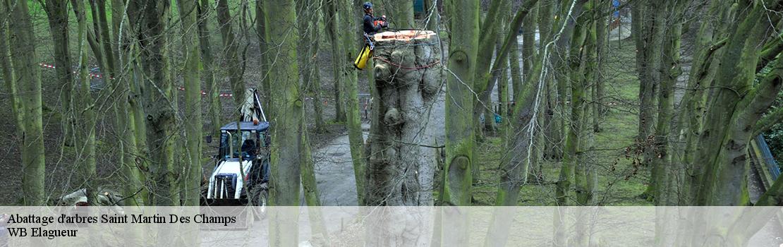 abattage-d-arbres  77320