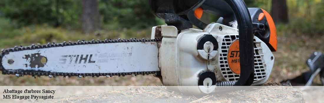 abattage-d-arbres  77580