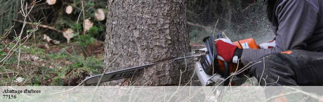 abattage-d-arbres 77156