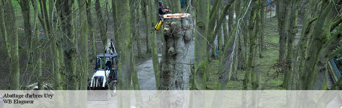 abattage-d-arbres 77760