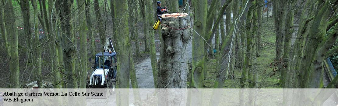 abattage-d-arbres 77670