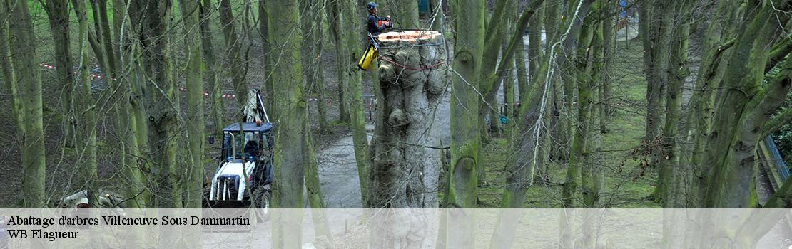 abattage-d-arbres 77230