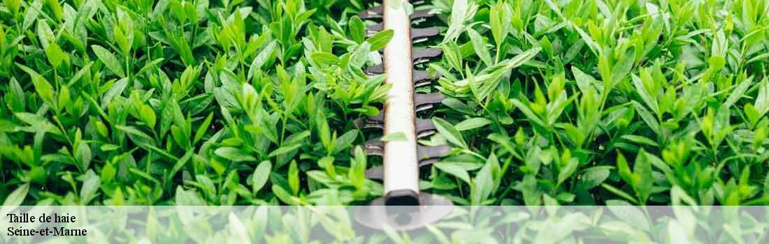 taille-de-haie Seine-et-Marne 