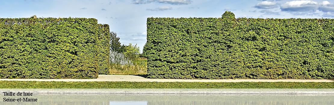 Taille de haie Seine-et-Marne 