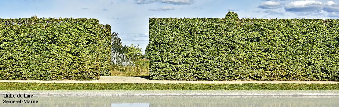 taille-de-haie Seine-et-Marne 