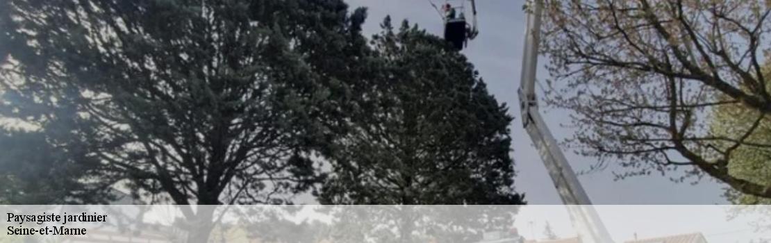 Paysagiste jardinier Seine-et-Marne