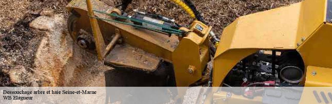 Dessouchage arbre et haie 77 Seine-et-Marne  Mayer Elagage