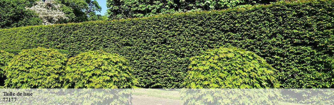taille-de-haie 77177