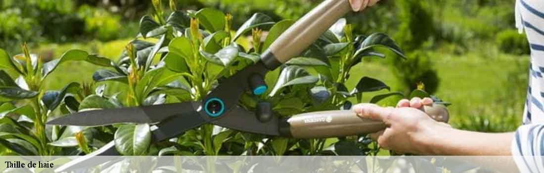 taille-de-haie 77300