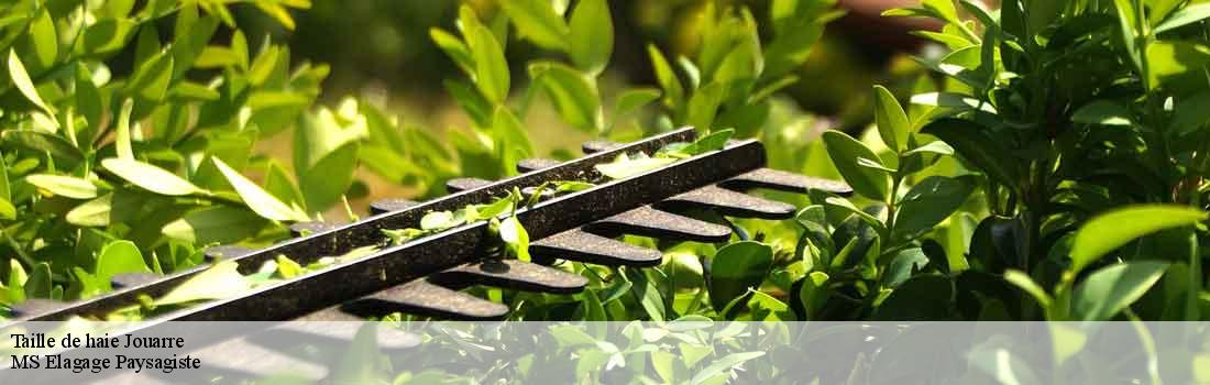 taille-de-haie  77640