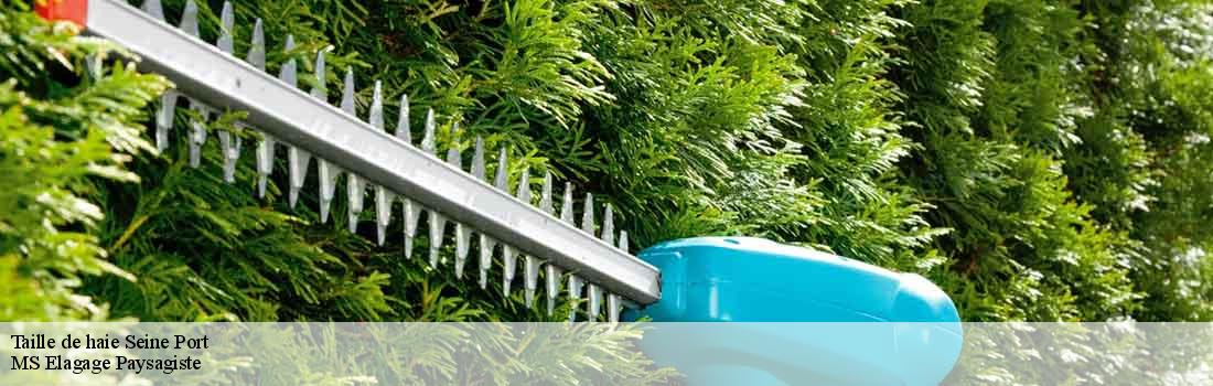 taille-de-haie 77240