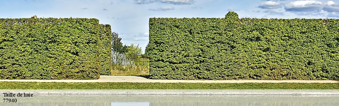 taille-de-haie 77940