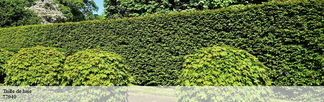 taille-de-haie 77940