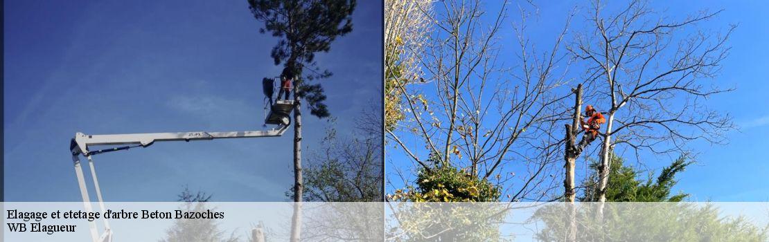 Elagage et etetage d'arbre beton-bazoches-77320