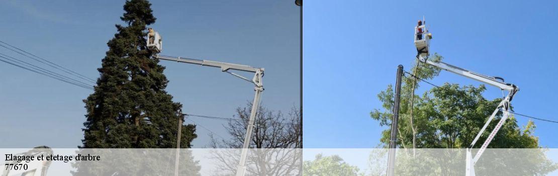 Elagage et etetage d'arbre 77670