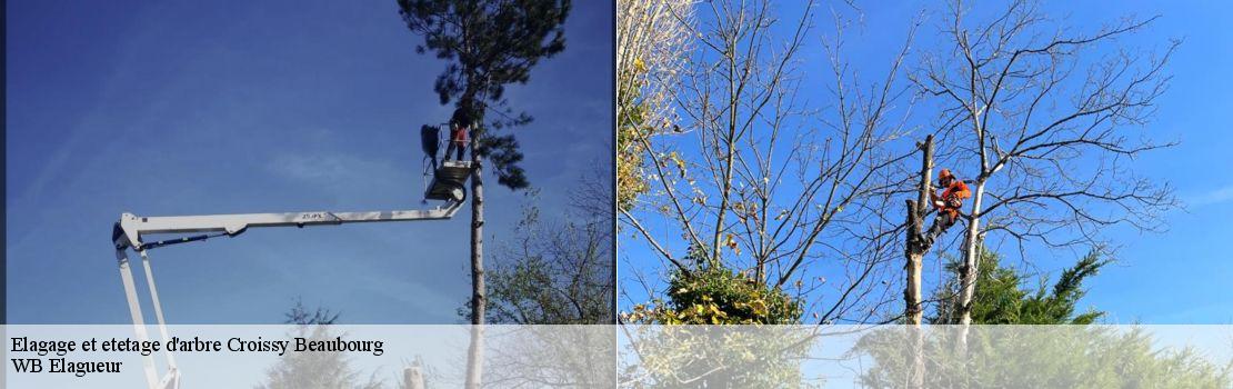 Elagage et etetage d'arbre  croissy-beaubourg-77183 Mayer Elagage