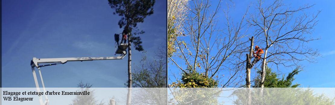 elagage-et-etetage-d-arbre 77184