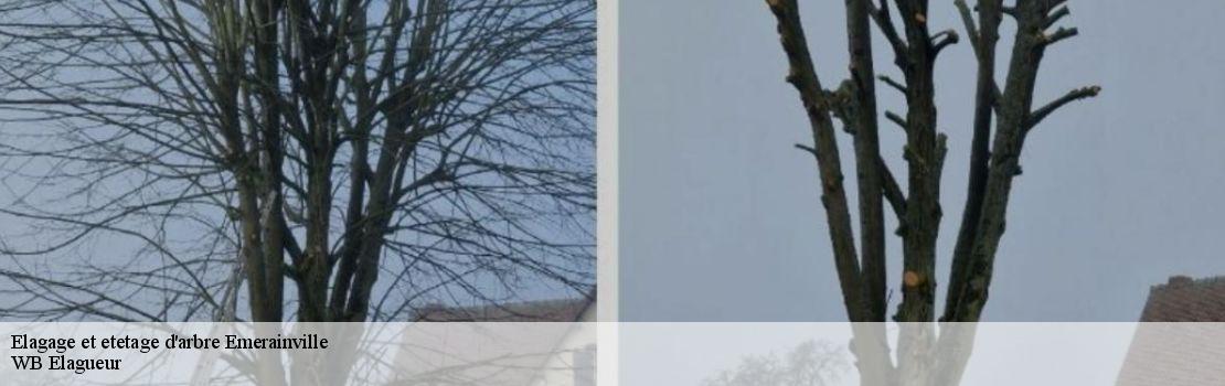 elagage-et-etetage-d-arbre 77184