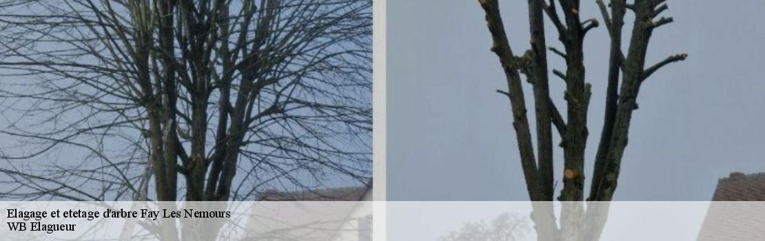 elagage-et-etetage-d-arbre 77167