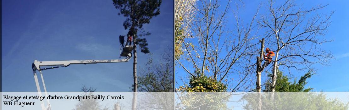 Elagage et etetage d'arbre grandpuits-bailly-carrois-77720