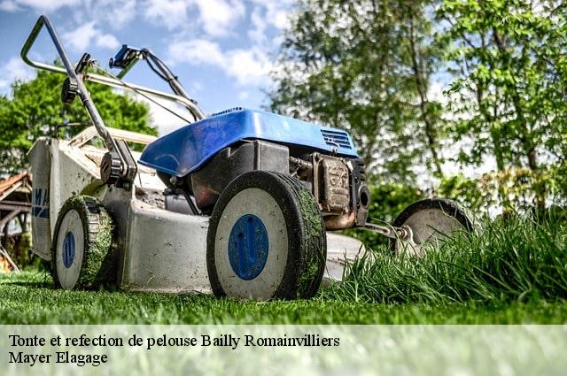 Tonte et refection de pelouse  bailly-romainvilliers-77700 Mayer Elagage