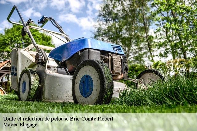 Tonte et refection de pelouse  brie-comte-robert-77170 Mayer Elagage