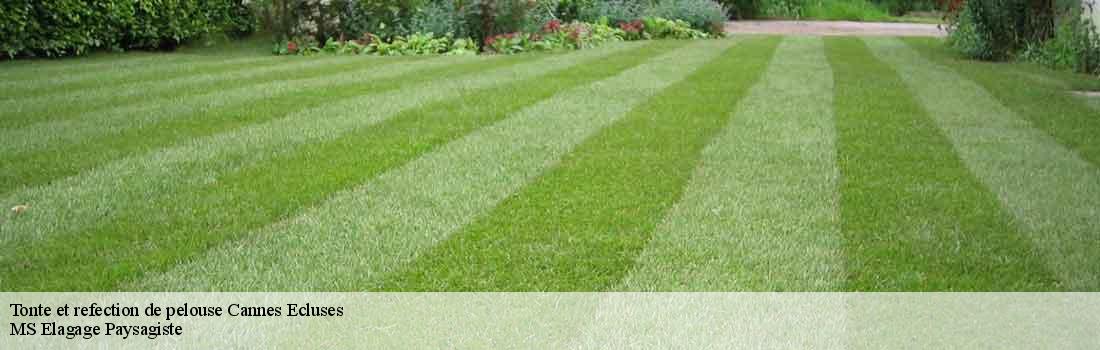 tonte-et-refection-de-pelouse  77130