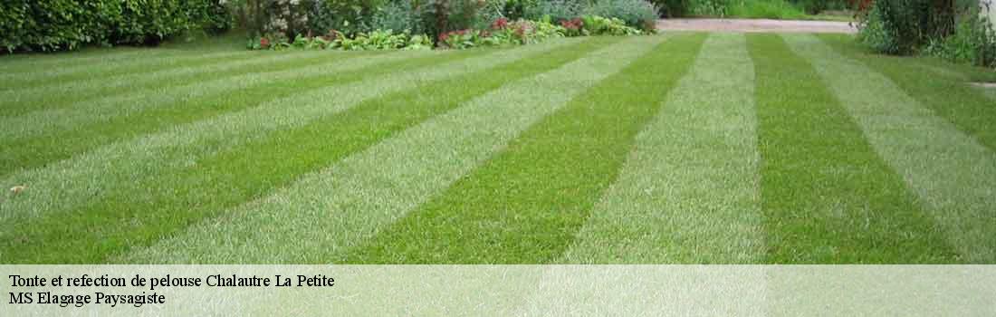 tonte-et-refection-de-pelouse  77160