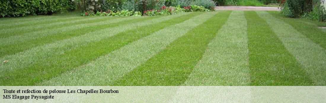 tonte-et-refection-de-pelouse  77610