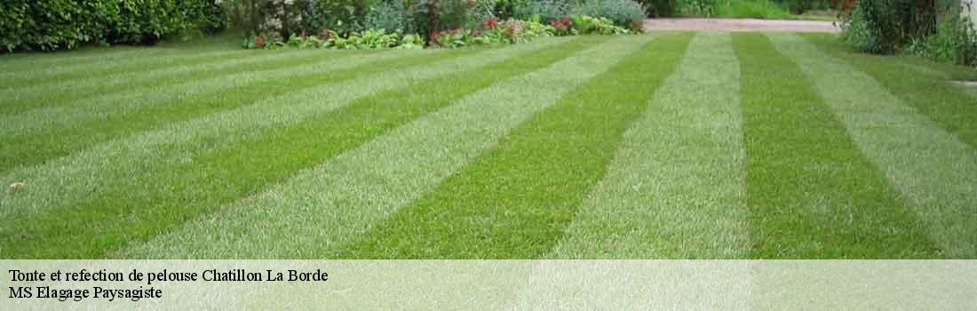 tonte-et-refection-de-pelouse  77820