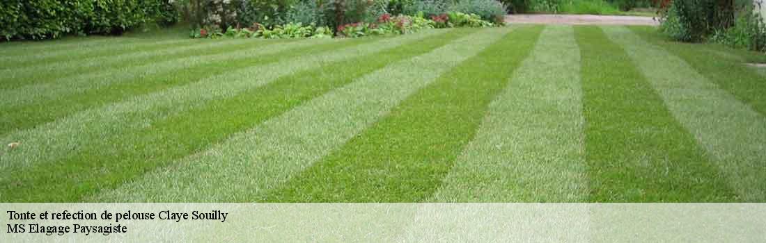 tonte-et-refection-de-pelouse  77410