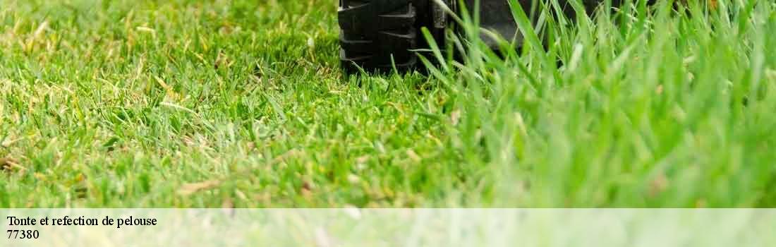 tonte-et-refection-de-pelouse 77380