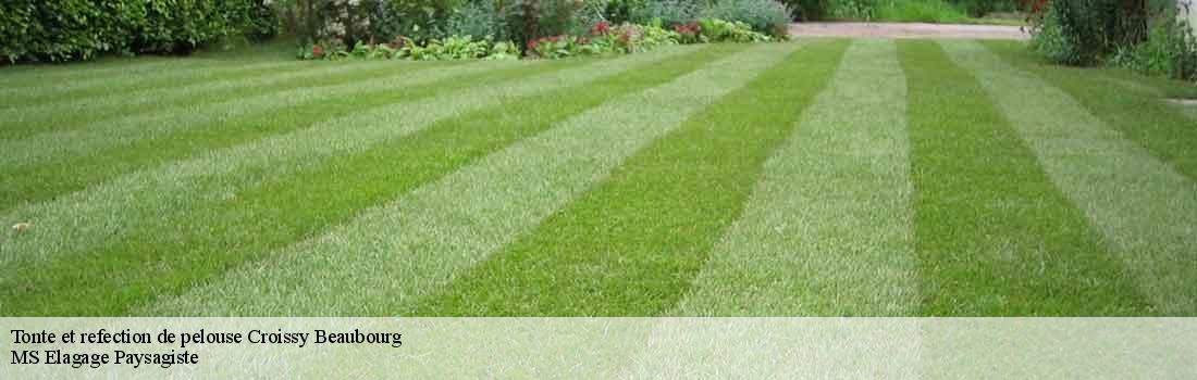 tonte-et-refection-de-pelouse 77183