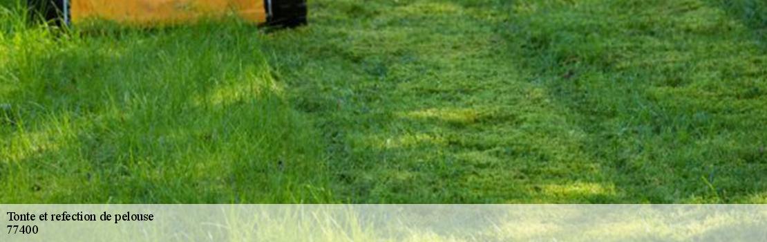tonte-et-refection-de-pelouse 77400