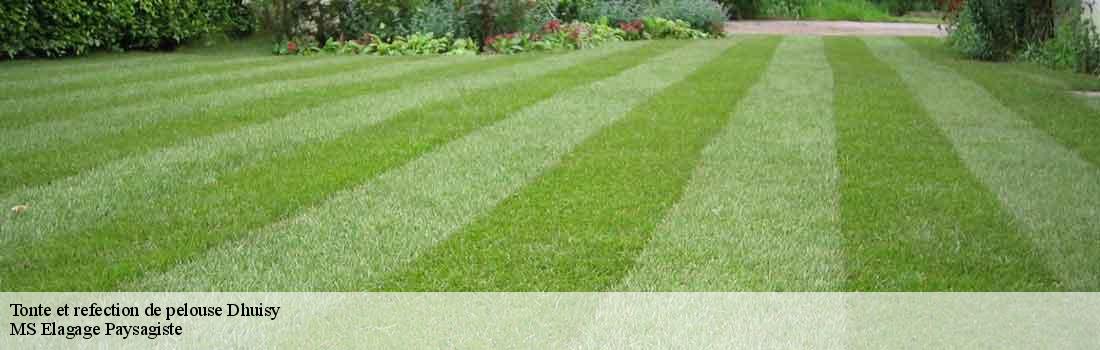 tonte-et-refection-de-pelouse 77440