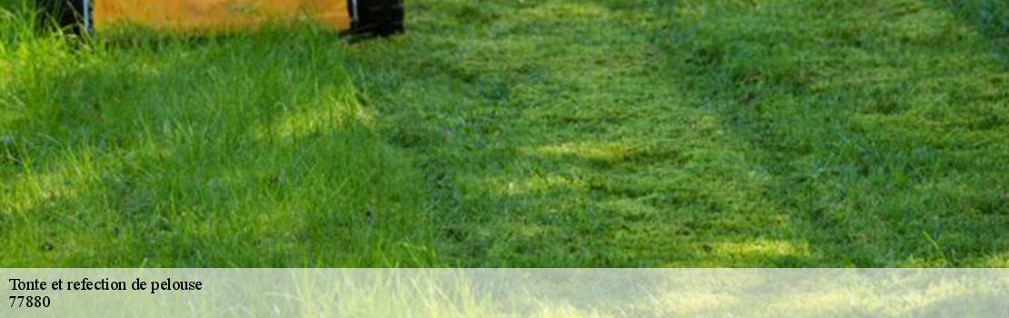 tonte-et-refection-de-pelouse 77880