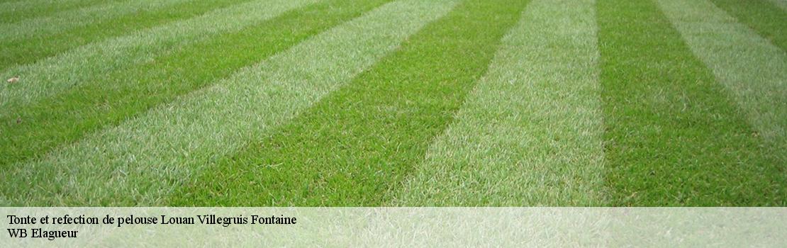 tonte-et-refection-de-pelouse  77560